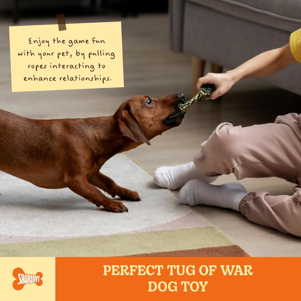 Chew Toys for Small Dogs